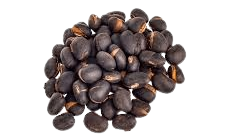 Mucuna pruriens