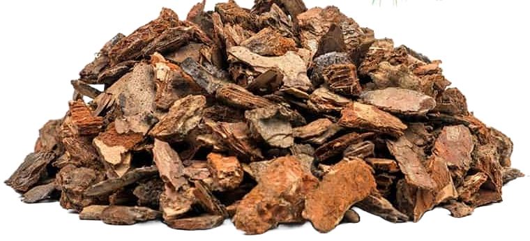 Pine tree bark extract - pycnogenol