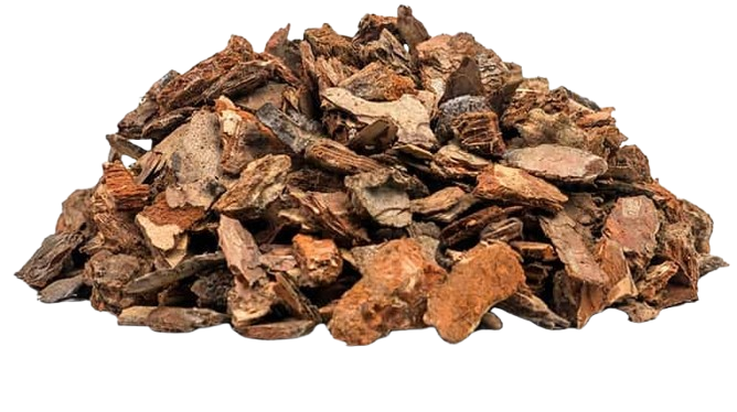 Pine tree bark extract